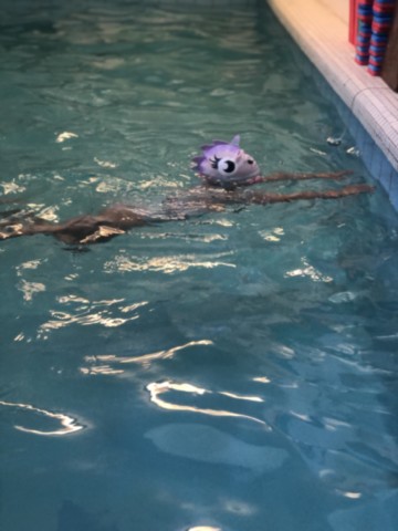 natation enfant
